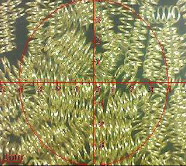 Mathau o ffynhonnau cysylltydd pin pogo